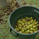 5030969817_06b620a379_o