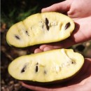 6258993769_89dfeb59a7_o